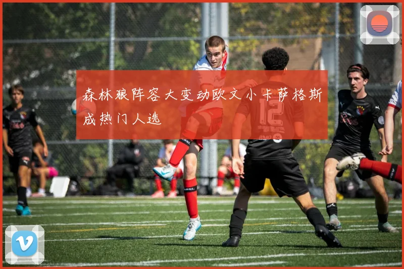 森林狼阵容大变动欧文小卡萨格斯成热门人选